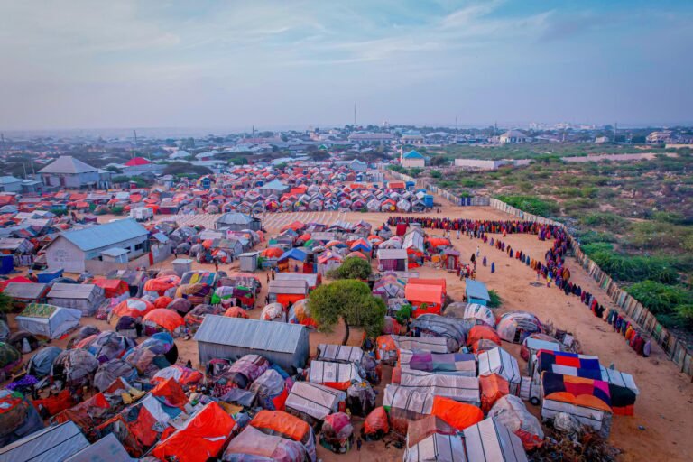 WhatsApp Image 2026-01-15 at 17.14.18 (1)