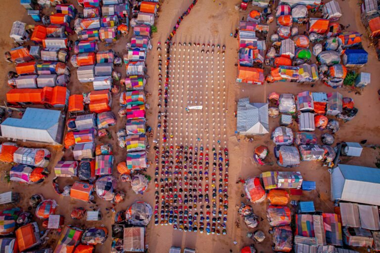 WhatsApp Image 2026-01-15 at 17.14.19 (1)