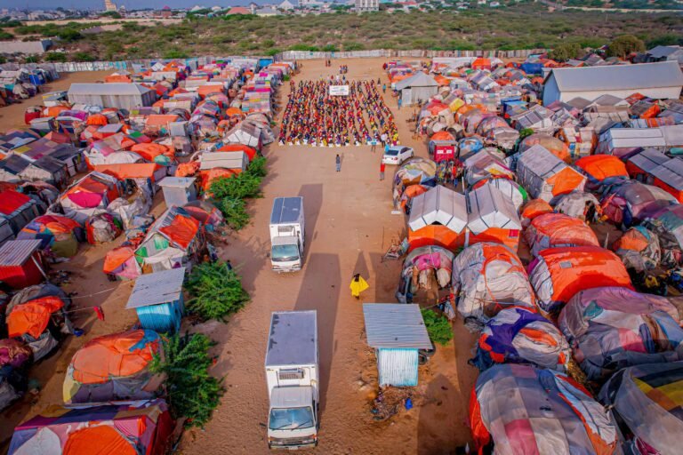 WhatsApp Image 2026-01-15 at 17.14.19 (2)