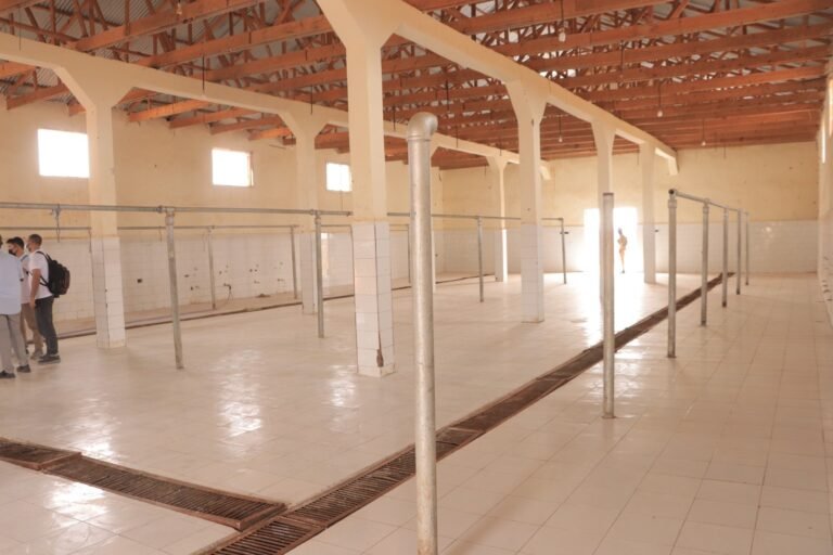 WhatsApp Image 2026-01-15 at 18.03.29