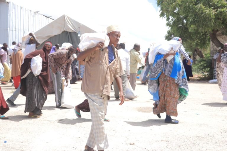 WhatsApp Image 2026-01-15 at 19.36.27