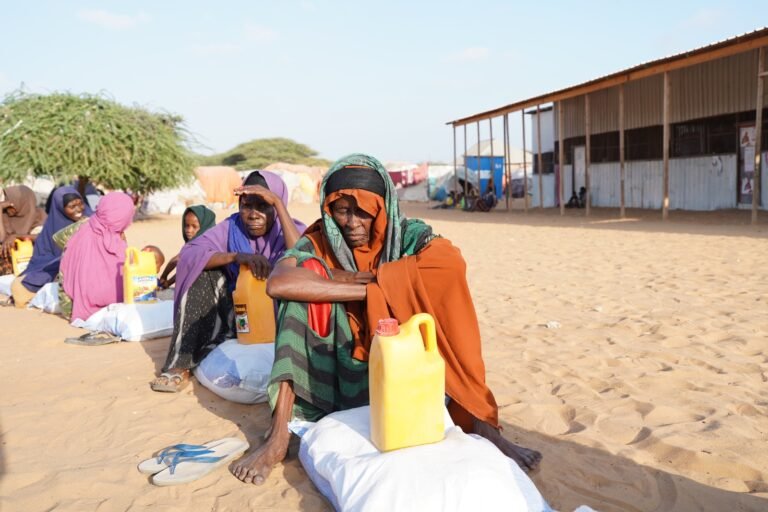 WhatsApp Image 2026-01-15 at 19.59.1144