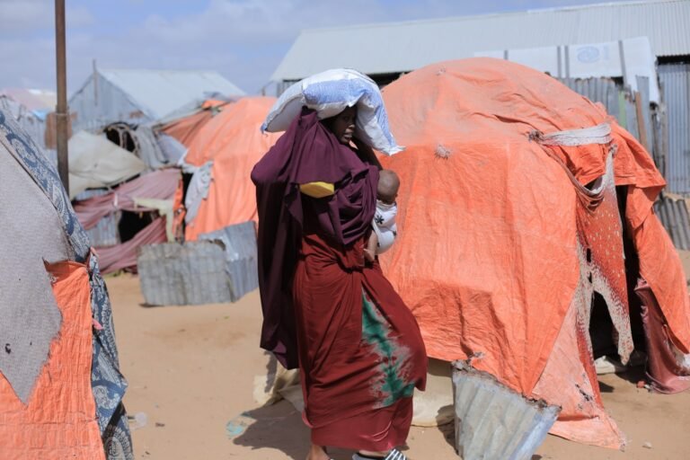 WhatsApp Image 2026-01-15 at 19.59.129999